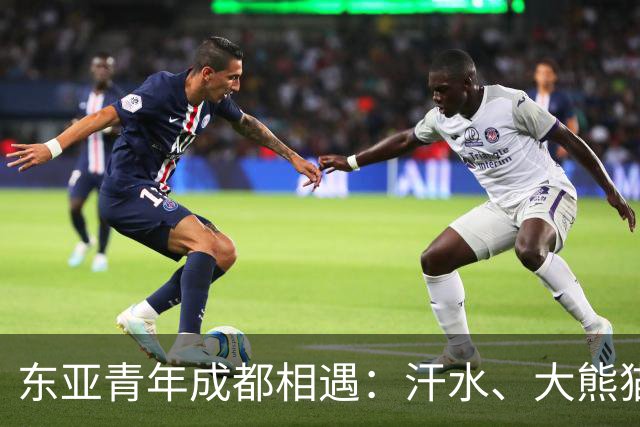 东亚青年成都相遇：汗水、大熊猫与友谊