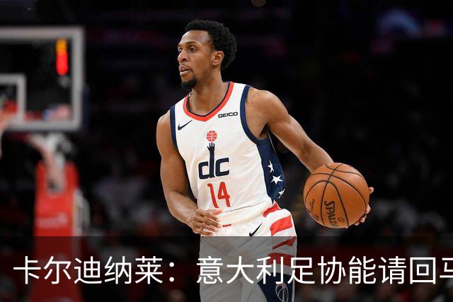 卡尔迪纳莱：意大利足协能请回马尔蒂尼，说明他们开始醒悟了