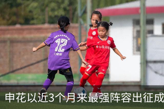 申花以近3个月来最强阵容出征成都 马纳法伤愈随队前往