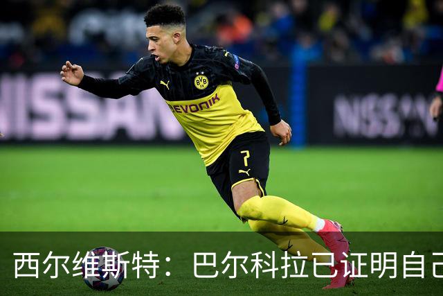 西尔维斯特：巴尔科拉已证明自己，去任何队伍都能胜任主力
